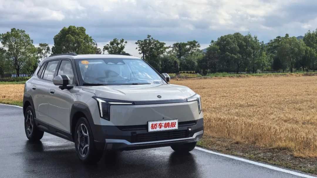 Sucrée ou salée, Dongfeng Nammi 06